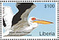 Great White Pelican Pelecanus onocrotalus  2007 Birds of Africa  MS