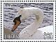 Mute Swan Cygnus olor  2013 Birds of the world Sheet
