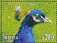 Indian Peafowl Pavo cristatus  2013 Birds of the world  MS