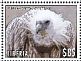 Griffon Vulture Gyps fulvus  2013 Birds of the world Sheet