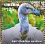 Cape Vulture Gyps coprotheres  2015 African birds of prey Sheet