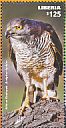 African Goshawk Accipiter tachiro  2015 African birds of prey Sheet