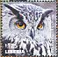 Eurasian Eagle-Owl Bubo bubo  2015 African birds of prey Sheet