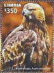 Golden Eagle Aquila chrysaetos  2015 African birds of prey  MS