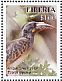 African Grey Hornbill Lophoceros nasutus  2016 Birds of West Africa Sheet