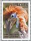 Yellow-casqued Hornbill Ceratogymna elata  2016 Birds of West Africa Sheet