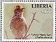 Rufous-naped Lark Mirafra africana  2016 Birds of West Africa Sheet