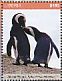 African Penguin Spheniscus demersus  2017 African penguins Sheet
