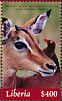 Red-billed Oxpecker Buphagus erythrorynchus  2018 Oxpecker Sheet