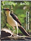 White-necked Rockfowl Picathartes gymnocephalus  2019 White-necked Rockfowl Sheet