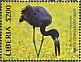 African Openbill Anastomus lamelligerus  2019 African Openbill Stork Sheet