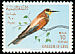 European Bee-eater Merops apiaster  1965 Birds 