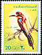 European Bee-eater Merops apiaster