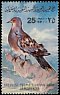 European Turtle Dove Streptopelia turtur  1982 Birds 