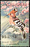 Eurasian Hoopoe Upupa epops  1982 Birds 