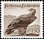 Golden Eagle Aquila chrysaetos  1947 Wild life 