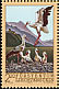 White Stork Ciconia ciconia  2003 White Stork 