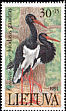Black Stork Ciconia nigra  1991 Storks and cranes 