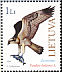 Western Osprey Pandion haliaetus  2000 Birds of prey in the Red Book 