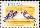 Rock Dove Columba livia  2006 Christmas 2v set