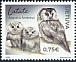 Boreal Owl Aegolius funereus  2020 The Red Book of Lithuania 
