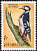 Great Spotted Woodpecker Dendrocopos major  1961 Animal protection 4v set