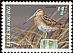 Common Snipe Gallinago gallinago  1993 Endangered birds 