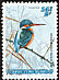 Common Kingfisher Alcedo atthis  1993 Endangered birds 