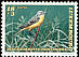 Western Yellow Wagtail Motacilla flava  1994 Endangered birds 