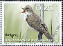 Eurasian Reed Warbler Acrocephalus scirpaceus  2018 Rare birds 