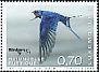 Barn Swallow Hirundo rustica  2018 Rare birds 