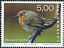 European Robin Erithacus rubecula  2020 Rare birds 