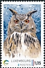Eurasian Eagle-Owl Bubo bubo  2022 Birdpex 9 
