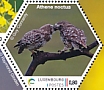 Little Owl Athene noctua  2022 Birdpex 9 Sheet