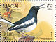 Oriental Magpie-Robin Copsychus saularis  1995 Singapore 95  MS