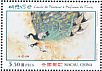 Indian Peafowl Pavo cristatus  2018 Birdsongs and spring flowers 4v set