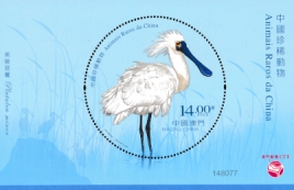 Click for enlargement