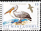 Dalmatian Pelican Pelecanus crispus  1995 Birds 