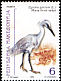 Little Egret Egretta garzetta  2000 Birds 