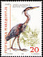 Purple Heron Ardea purpurea  2000 Birds 