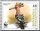 Eurasian Hoopoe Upupa epops  2008 WWF 