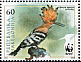 Eurasian Hoopoe Upupa epops