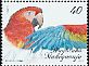 Red-and-green Macaw Ara chloropterus  2010 Pet parrots 2v set
