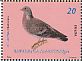 Stock Dove Columba oenas