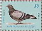 Rock Dove Columba livia  2015 Pigeons 4v set