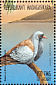 Namaqua Dove Oena capensis  1999 Birds Sheet