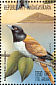 Rufous Vanga Schetba rufa  1999 Birds Sheet
