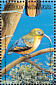 Common Sunbird-Asity Neodrepanis coruscans  1999 Birds Sheet