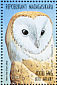 Western Barn Owl Tyto alba  1999 Birds  MS