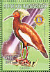 Madagascar Ibis Lophotibis cristata  1999 Animals of the world 9v sheet